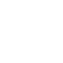 lightgrey-icon-flash