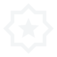 lightgrey-icon-starinstar
