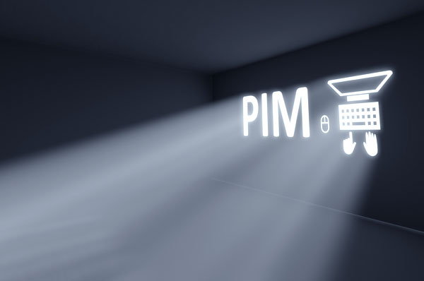 What is the purpose of a PIM-system?