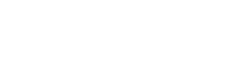 megaflis-white-new-logo